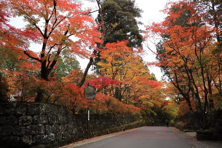 日光の社寺へ続く道