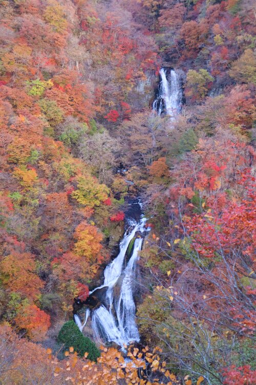 霧降ノ滝の紅葉