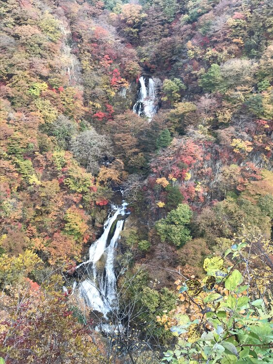 紅葉に映える霧降の滝