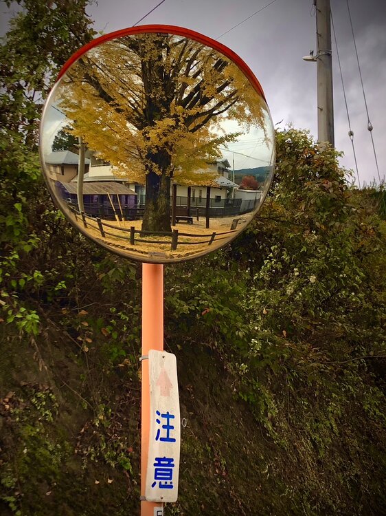 カーブミラーの中の秋色
